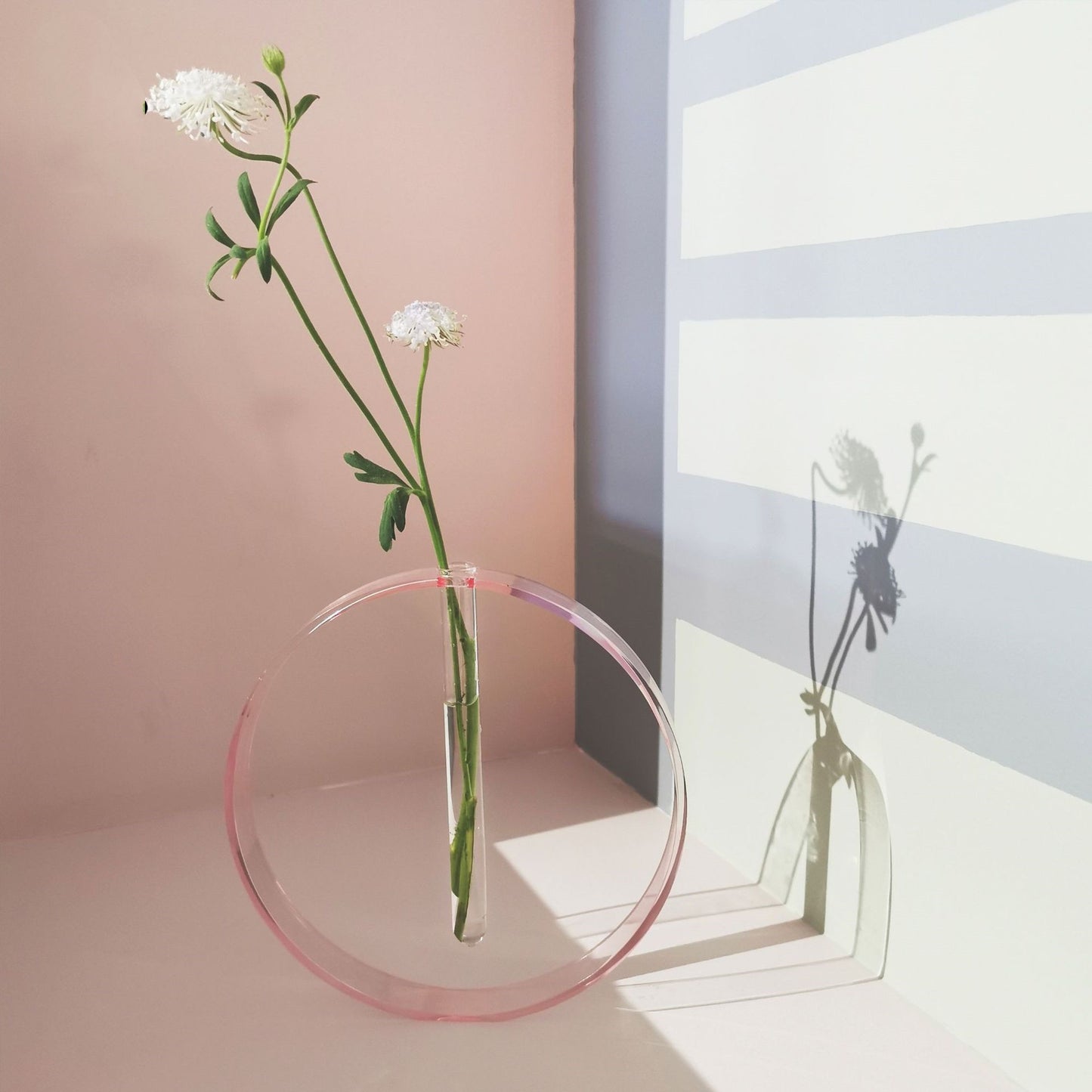 Transparent Tube Vase