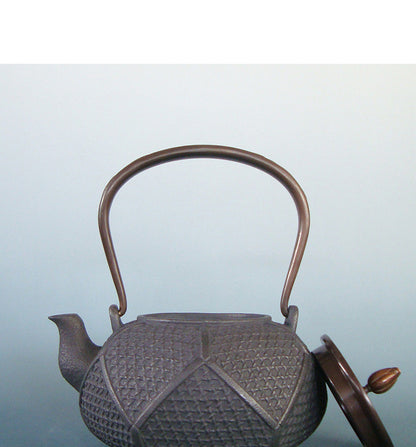 Cast Iron Grey Tea Pot