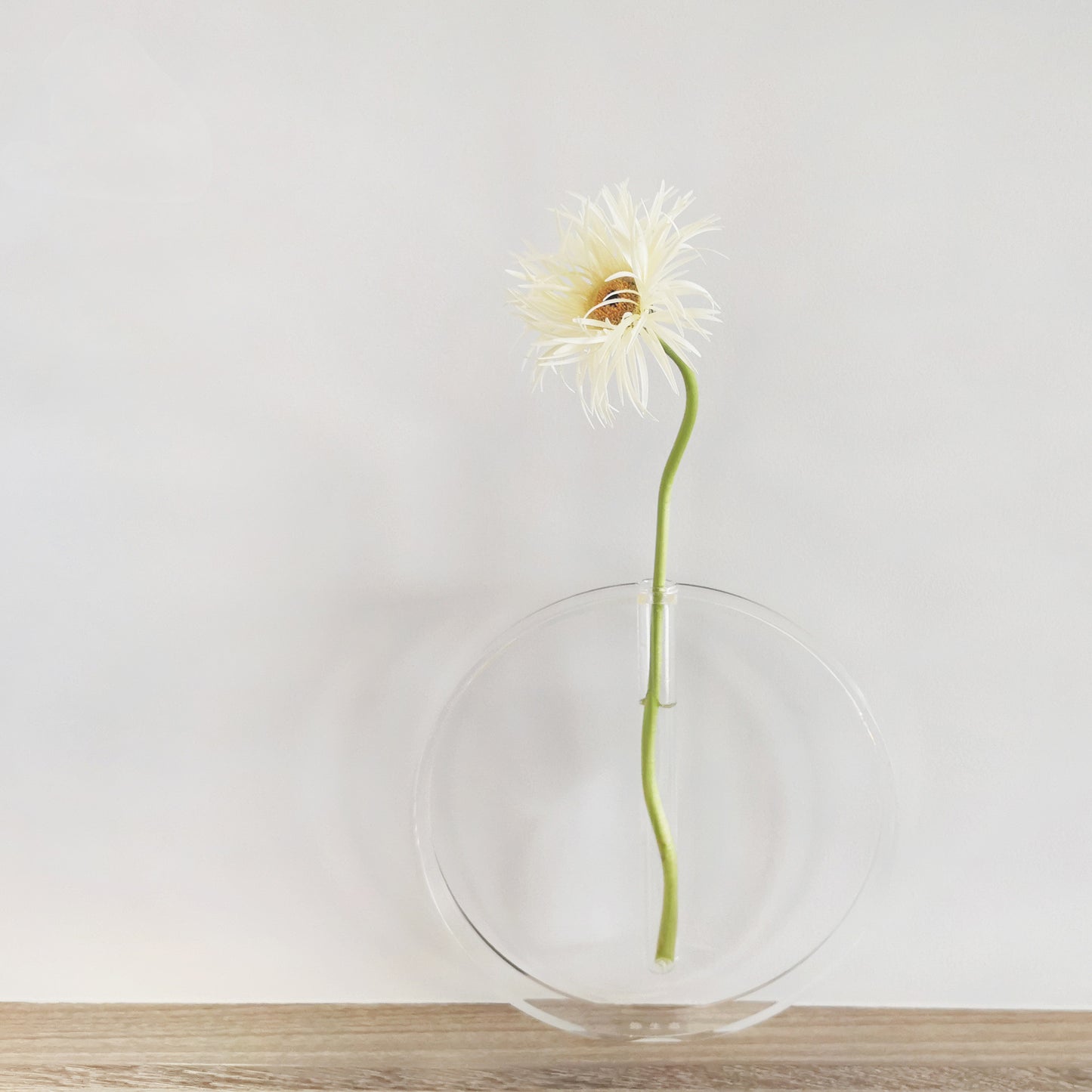 Transparent Tube Vase